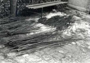 Korbflechterei in Klein Neida : Handwerkstechniken - Korb- und Besenmacherei. Ort: Wojerecy / Hoyerswerda. Weiden, sortiert zum Korbflechten bei Matej Tillich aus Klein Neida