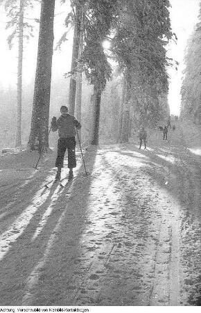 Winter, Landschaften, Skilangläufer, 1956/1957