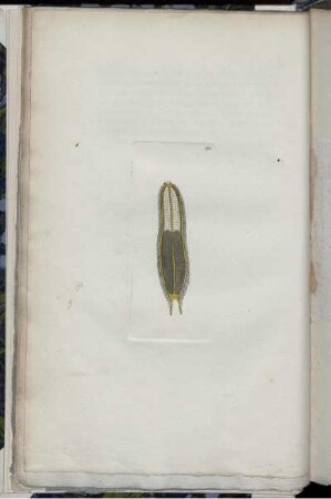 [Abb. 185]