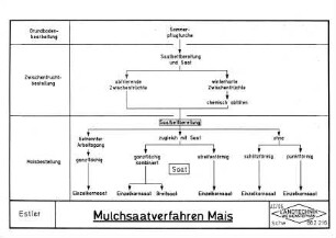 Mulchsaatverfahren Mais