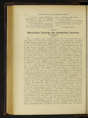 Mütterliche Fürsorge der heimischen Insekten.