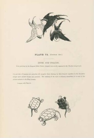 Plate 73. (Chinese art). Dove and falcon