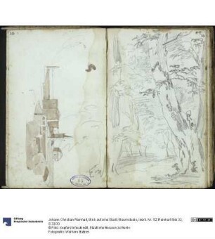 Blick auf eine Stadt / Baumstudie