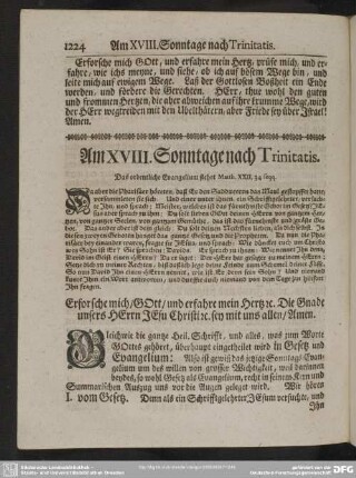 Am XVIII. Sonntage nach Trinitatis