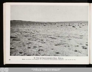 48. Piste und Karawanenstraße Homs – Palmyra.