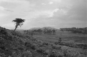 Die Salale-Berge (Äthiopienreise 1937/1938 - 7. Flugreise nach Dembi Dolo und Ausflüge ins Umland)