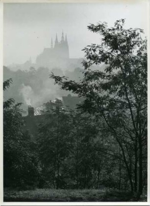Der Veitsdom, Prag, Böhmen und Mähren