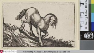 [Von einem Hügel herabsteigendes Pferd nach rechts; Horse descending a Mound, Facing Right]