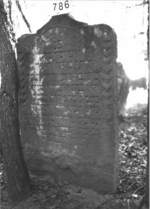 Grabstein 786 (Index: 99900323) Material: Sandstein Zustand: unten und links verwittert, sonst gut erhalten Maße HxBxT: 126x85x7 cm Beschreibung: Stele mit Schulterbogenabschluss, seitliche Rahmen mit Scheibenfries Symbolik: Scheibenfries: Grabstein 786