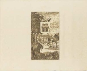 Kupferstich: Insigne Ducatus Bahusiae