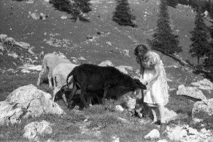 Bayrischzell: zwei Mädchen an einer Schafherde
