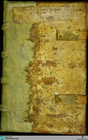 Hieronymi commentarius in Osee - Cod. Aug. perg. 113