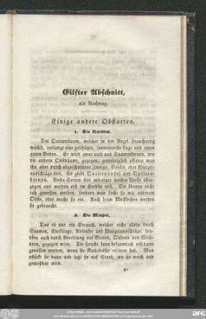 1. Die Quitten.