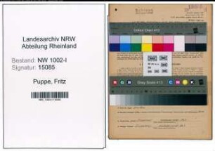 Entnazifizierung Fritz Puppe, geb. 10.04.1888 (Ingenieur)