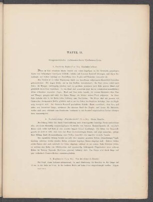 Tafel 26. Gegenstände indianischen Gebrauches.