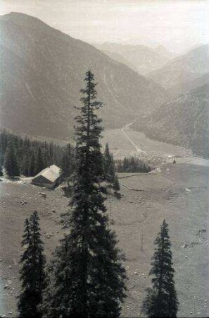 Bayrischzell: Aufstieg zum Wendelstein, Blick auf Bayrischzell, Vordergrund Tanne