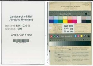 Entnazifizierung Carl Franz Gropp , geb. 01.09.1889 (Stadtbeamter)