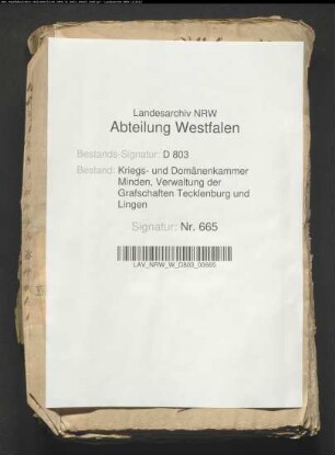 Zustand und Verheuerung der Henschen-Stätte, Bauerschaft Holzhausen, im Kirchspiel Lienen