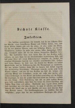 Sechste Klasse. Insekten.