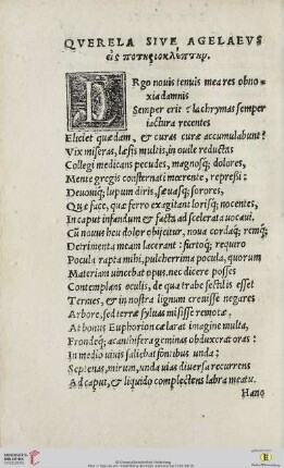 Qverela sive Agelaevs