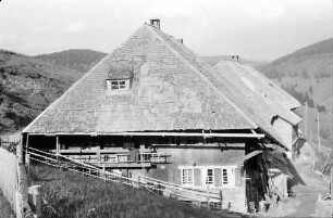 Muggenbrunn: Schwarzwaldhaus in Muggenbrunn; Profil