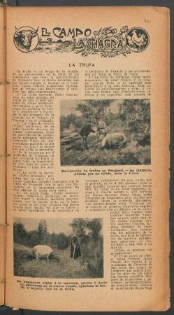 La trufa : El campo y la chacra