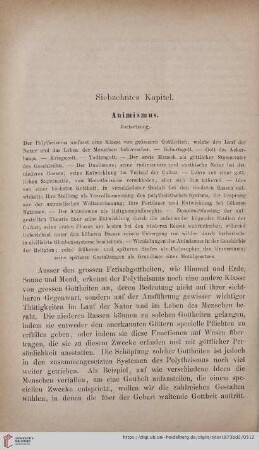 Siebzehntes Kapitel: Animismus. Fortsetzung