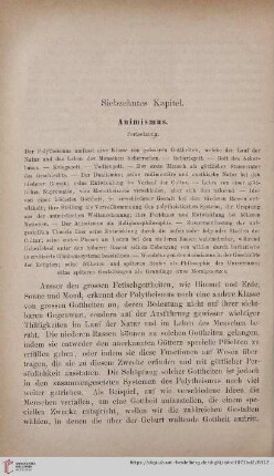 Siebzehntes Kapitel: Animismus. Fortsetzung