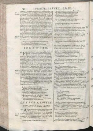 Qvercia, Rovere. Ghianda. Capo XXIX. [Salcio. Capo XXX., Sorbe. Capo XXXI., Spina Capo XXXII., Svvero. Cap. XXXIII., Tasso. Capo XXXIV., Vite, Vva, Vino Cap. XXXV., Vlivo, Vliva. Capo XXXVI., Bosco, Selva Cap. XXXVII.]