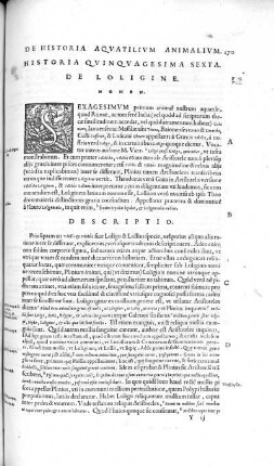 Historia Quinquagesima Sexta. De Loligine