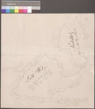 Wiesenbach (Kr. Crailsheim) "Probstholz und Lietholz" (Vermessungskarte)