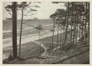 Bei Zingst. Blick aus einem Wald auf den Sandstrand. Badende befinden sich am Strand