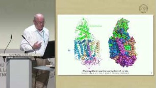 On the Structural Biology of Photosynthetic Light Reactions