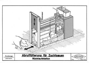 Abruffütterung für Zuchtsauen Rücklaufstation