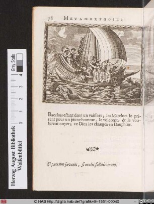 Matelots en Dauphins.