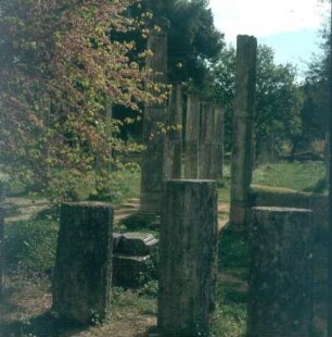 Olympia. Ruine der Palästra, wiederaufgerichtete Säulen