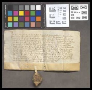 Bingenheim (Dorf): Kaufbrief von Conrad v. Buches über eine Hofstatt zu Bingenheim an Wilhelm Löw v. Steinfurt