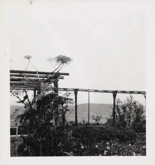 Garten Dr. Udo Rukser, Oberbühlhof am Bodensee: Pergola