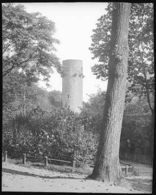 Oschatz. Promenade am Stadtturm