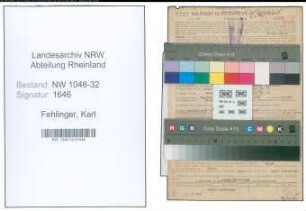 Entnazifizierung Karl Fehlinger , geb. 22.03.1886 (Architekt)