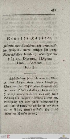 Neuntes Kapitel