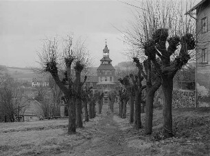 Blick durch Baumallee gegen Neues Schloß