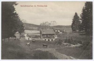 Kassel Habichtswald