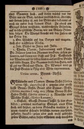 888-896, Urtica urens - Zingiber