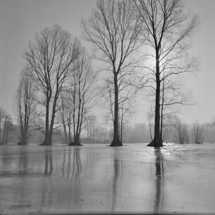 Landschaftsbild. Winter im Spreewald. Überflutete Wiesen und Felder bei Lübbenau - Lehde. : Wobraz krajiny. Zyma w Błótach. Łuki a pola wokoło Lubnjowa-Lědow su přepławjene.