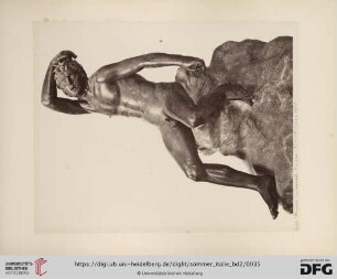 No. 5658. Fuane dormant: bronze - Herculanum 1756