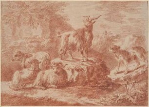 Ziege, Hund und Schafe auf Felsen