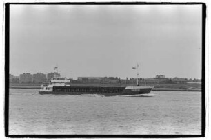 Rheinfels (1991), Wessels, Haren