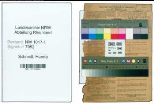 Entnazifizierung Hanna Schmidt , geb. 08.01.1914 (Helferin In Steuersachen)