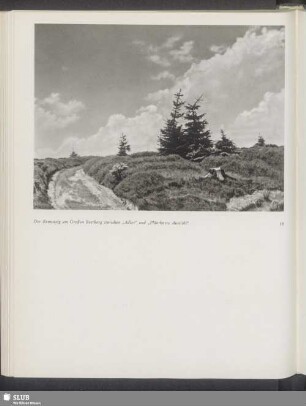 Der Rennsteig am Großen Beerberg zwischen "Adler" und "Plänckners Aussicht"